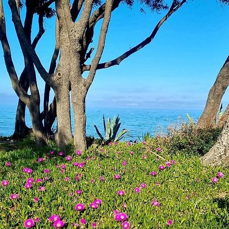 Maison U Nidu A 500M De La Mer Cervione Dış mekan fotoğraf