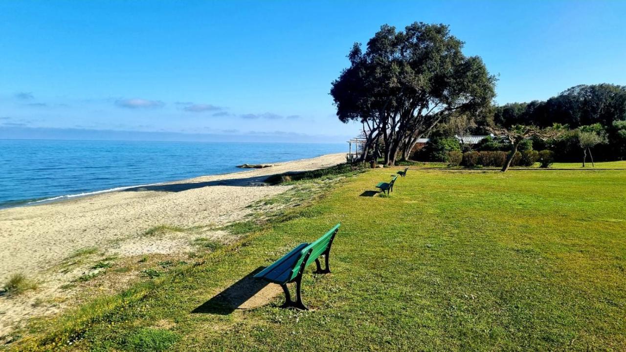 Maison U Nidu A 500M De La Mer Cervione Dış mekan fotoğraf