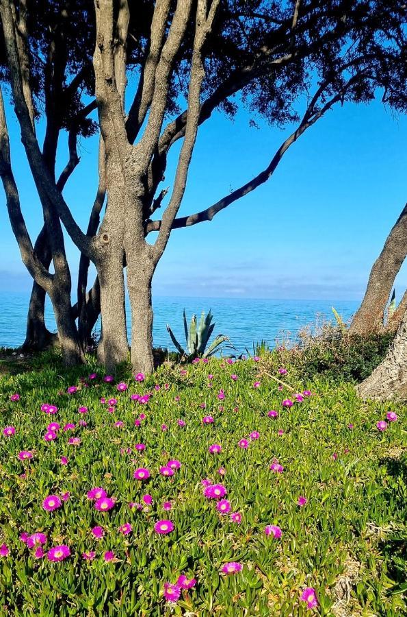 Maison U Nidu A 500M De La Mer Cervione Dış mekan fotoğraf